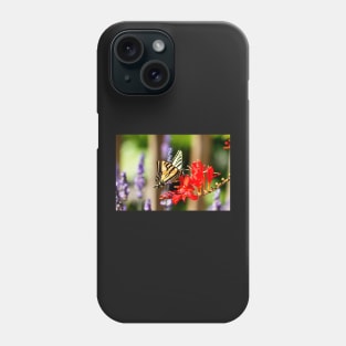 Swallowtail butterfly on crocosmia Phone Case