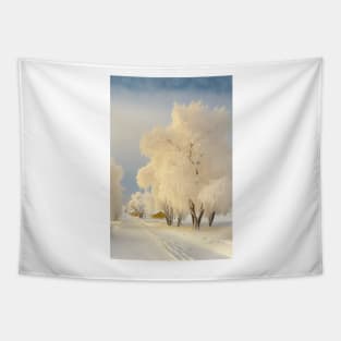 White Winter Ways - A warm white and serene winter landscape Tapestry