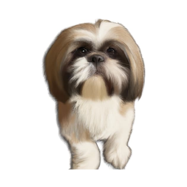 Cute Shih Tzu Drawing by Play Zoo