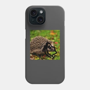 Nature's Harmony: Phone Case