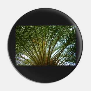 Aitutaki Palm Fronds Pin