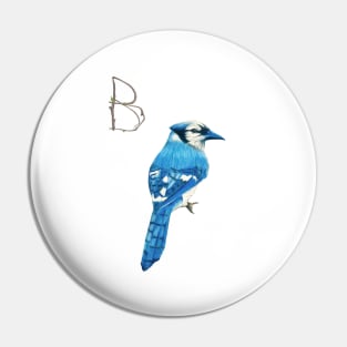 B for blue bird alphabet illustration Pin