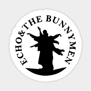 echo the bunnymen Magnet