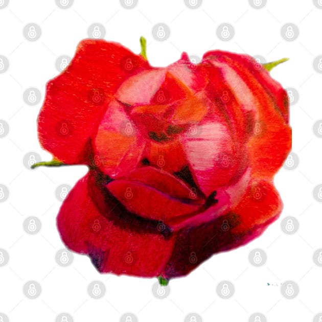 Rose 2 by teenamarie23art