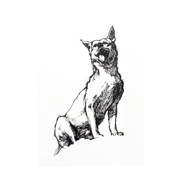 Dingo - ink drawing by rozmcq