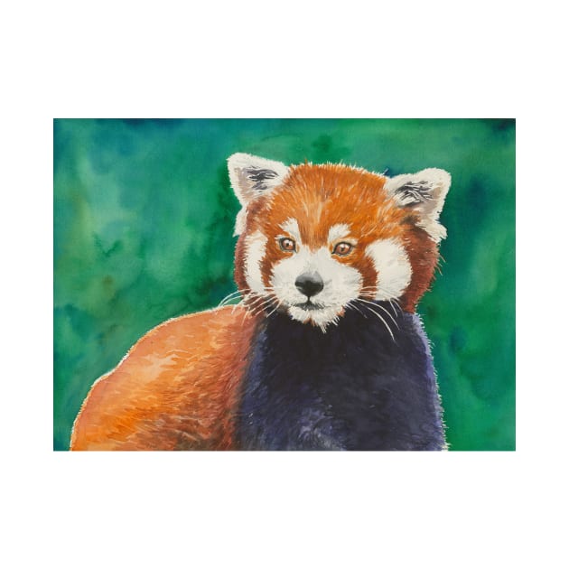 Red panda watercolor portrait by katerinamk