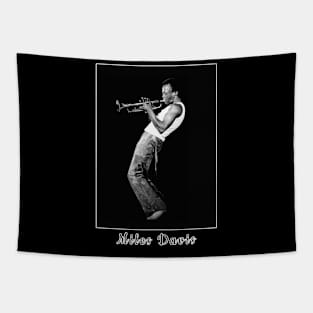 miles davis trumpet Tapestry