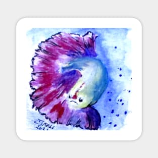 Betta Fish No2 Magnet