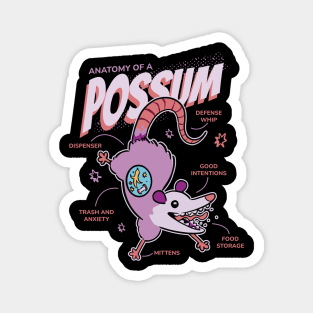 Anatomy Of A Possum Funny Magnet