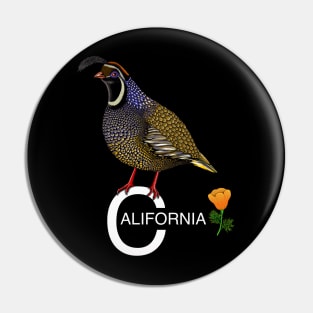 California quail state bird Californian poppy flowers Pin