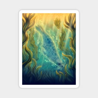 Kelp Forest Magnet