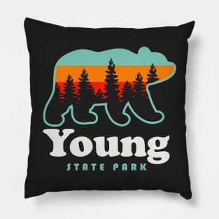 Young State Park Michigan Bear Retro Vintage Sunset Pillow