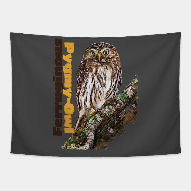 Ferruginous Pygmy-Owl color Tapestry by Ripples of Time