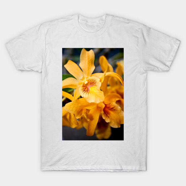 Discover Yellow Orchid Flower Flowering Plant - Orchid - T-Shirt