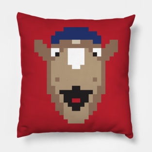 (TEX) Baseball Mascot Pillow