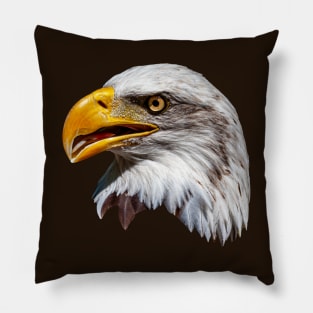 Majestic portrait of a Bald eagle Pillow