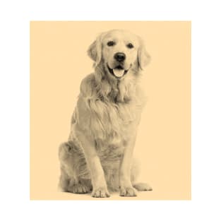 Charming Golden Retriever T-Shirt