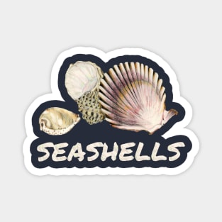 3 Seashells Magnet