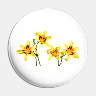 Colourful Daylilies Pin