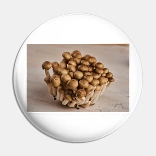 Brown shimeji mushrooms closeup Pin