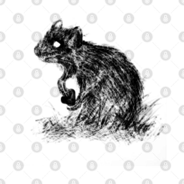 Rat by Pencil Brody