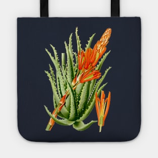 Aloe Vera vintage illustration Tote