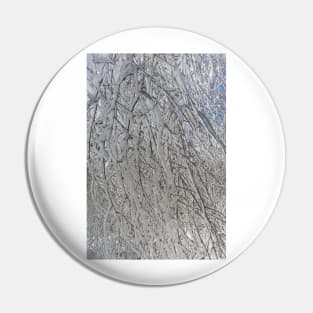 Icy Branches Pin