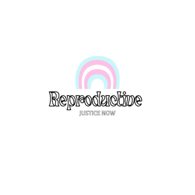 Reproductive Justice Now Trans Flag by Ceconner92