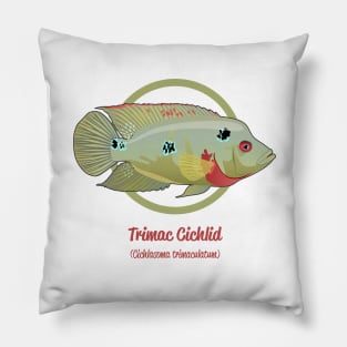 Trimac Cichlid Pillow