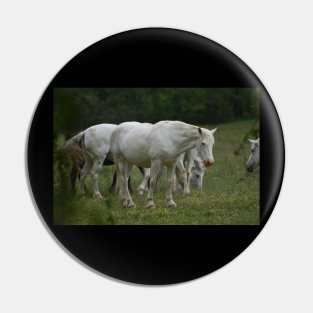 Wild Horse Pin