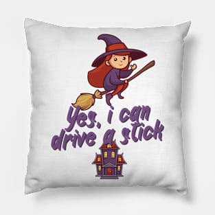 Yes, i can drive a stick Pillow