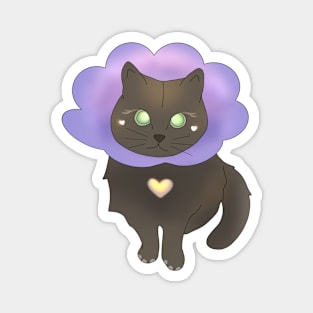 A Flower Cat Magnet