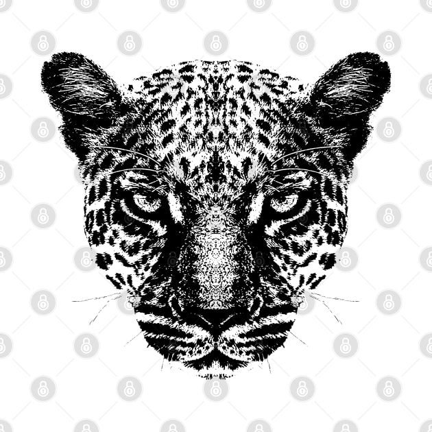 Head of a Leopard by R LANG GRAPHICS