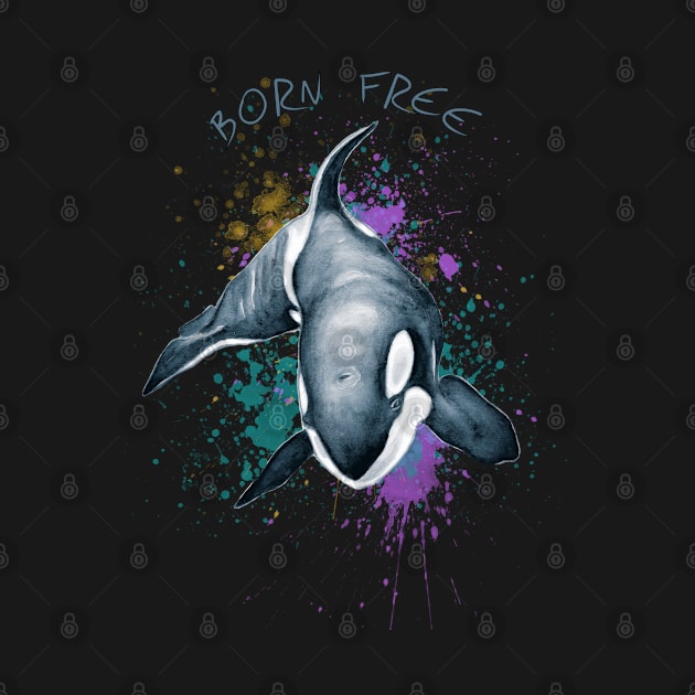 Orca Whale Born Free Keiko Art by Seven Sirens Studios