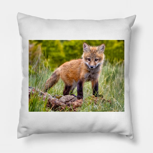 Red Fox Kit in Forest Pillow by jforno