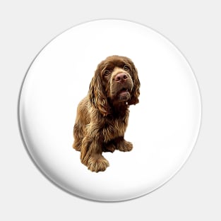 Sussex Spaniel Gorgeous Dog! Pin