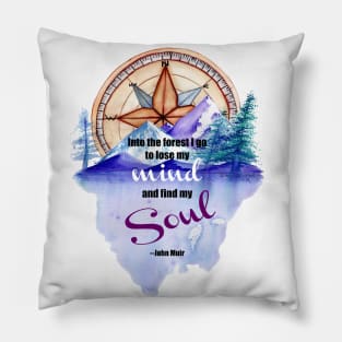 Compass Pillow