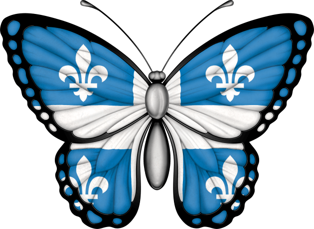 Quebec Flag Butterfly Kids T-Shirt by jeffbartels