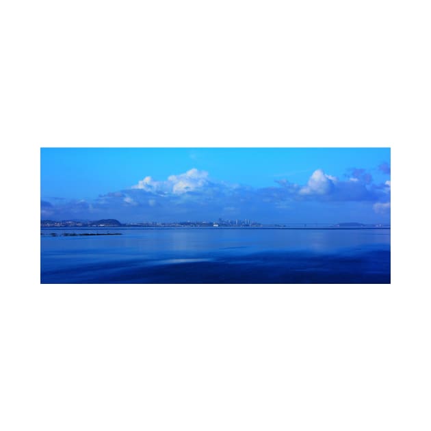 San Francisco and the Bay Bridge from Seal Point Park. 2010 by IgorPozdnyakov