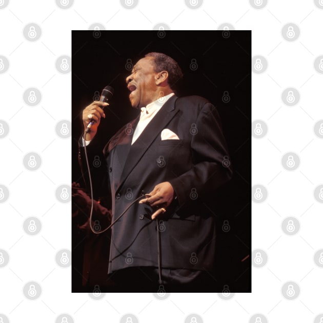 Bobby "Blue" Bland Photograph by Concert Photos