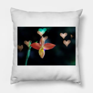 Orchid Valentine Pillow