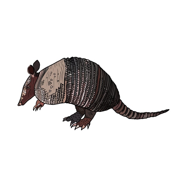 Armadillo by Morning by laceylschmidt