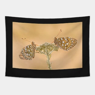 Two Dark Green Fritillaries on a Yarrow Plant Tapestry