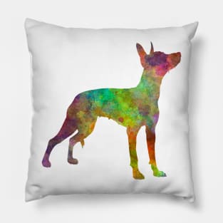 Xoloitzcuintle in watercolor Pillow