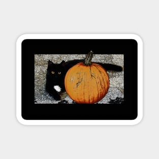 Little Pumpkin - Halloween Kitty Magnet