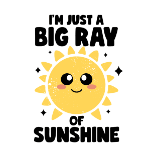 I'm Just A Big Ray Of Sunshine Kindness Irony And Sarcasm T-Shirt