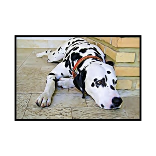 Dalmatian at Rest T-Shirt