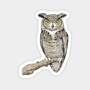 Great horned owl Magnet