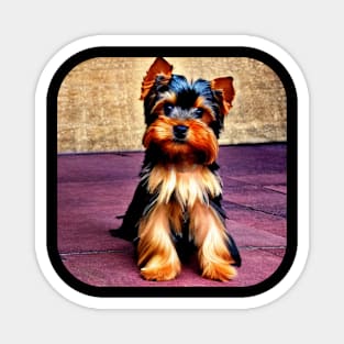 Yorkshire Terrier Puppy Magnet