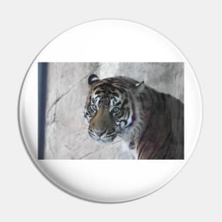 Sumatran Tiger Pin